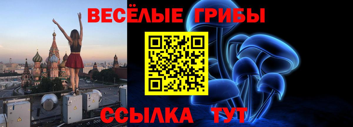 Кемерово  Галлюциногенные грибы мицелий  Псилоцибиновые грибы Psilocybine cubensis  Вход с VPN 
